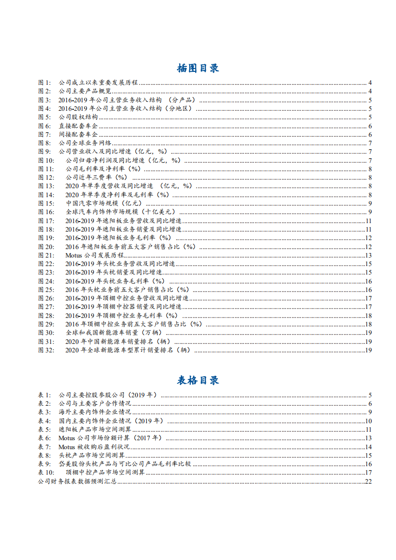 2021年遮阳板龙头岱美股份公司未来前景分析报告.pdf 第2页