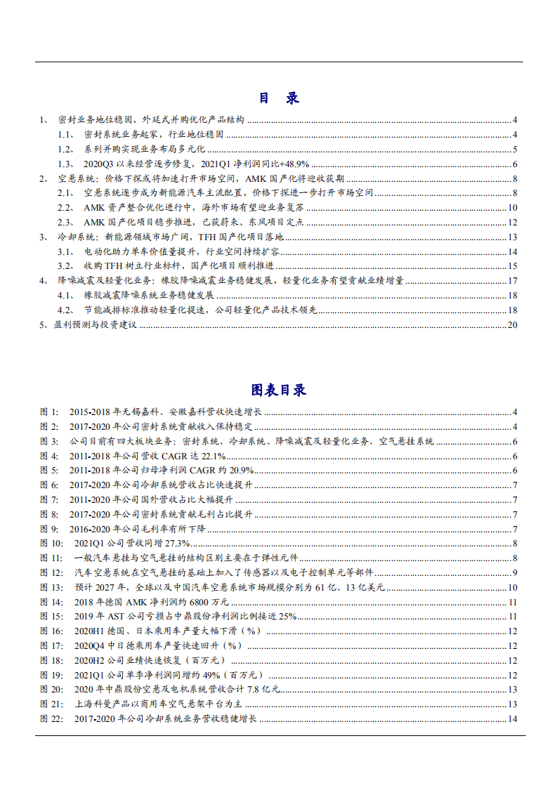 2021年中鼎股份公司业务布局与AMK国产化分析报告.pdf 第1页