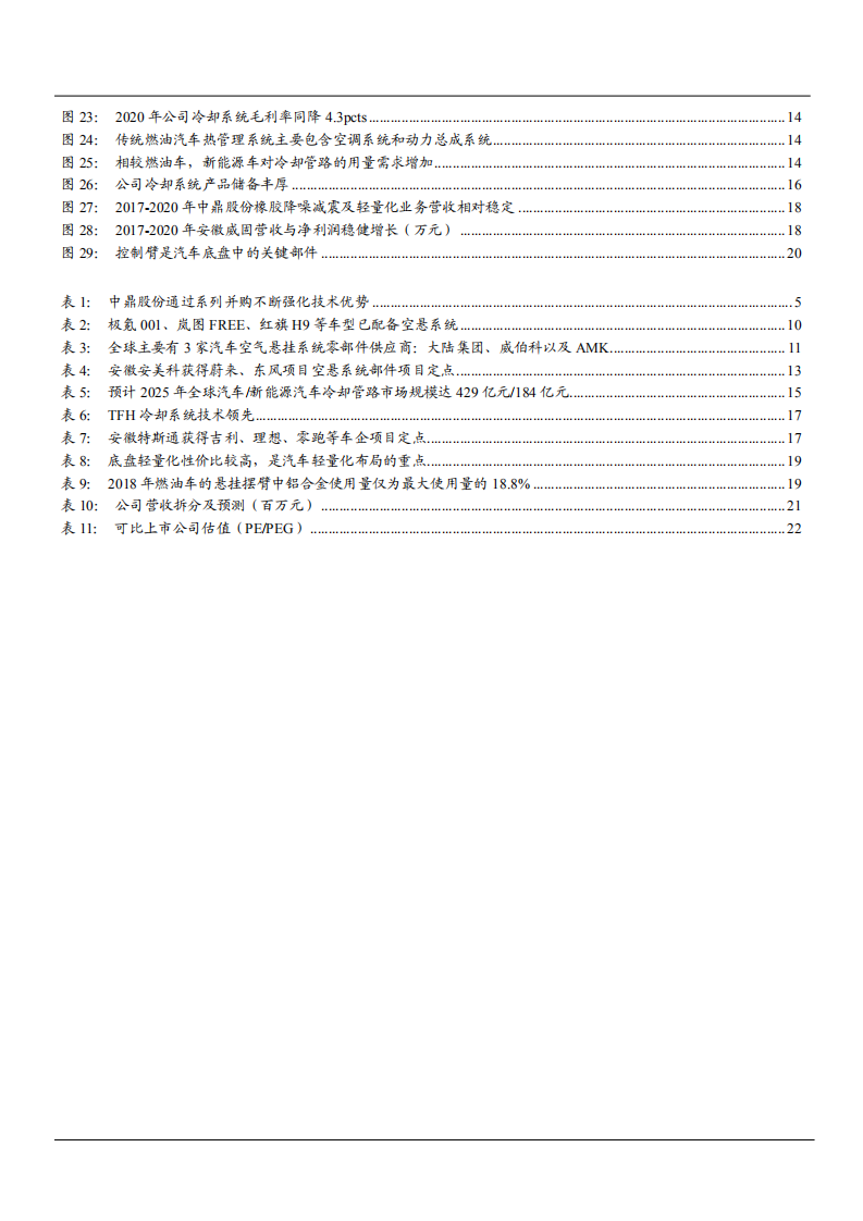 2021年中鼎股份公司业务布局与AMK国产化分析报告.pdf 第2页