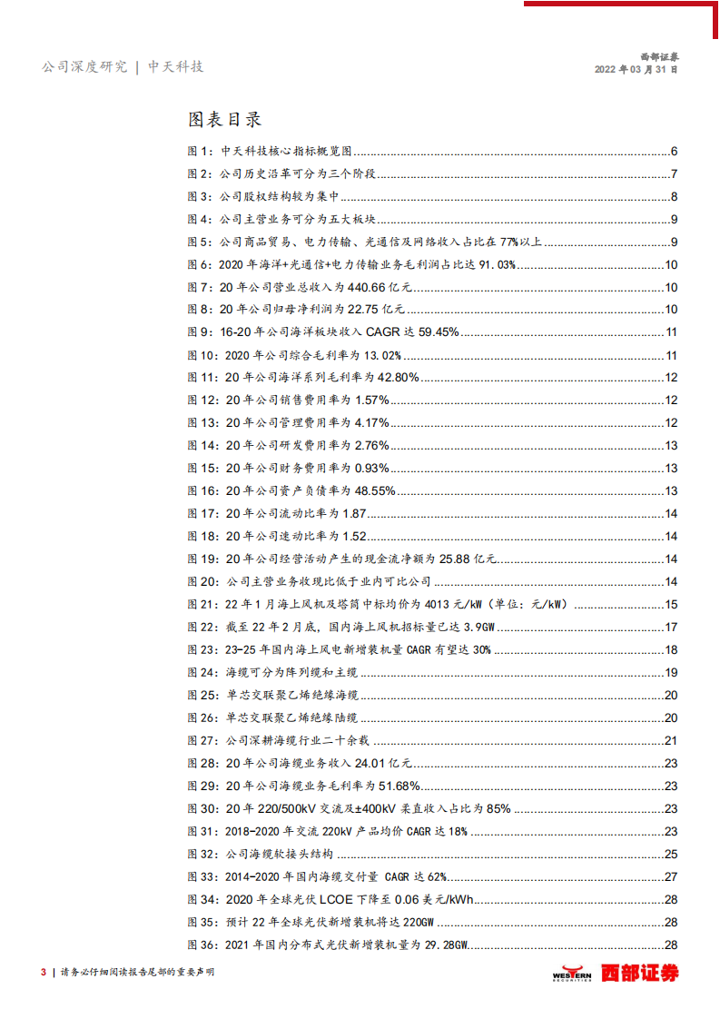 中天科技-首次覆盖：海缆行业领军企业，新能源业务高增长可期-220331.pdf 第3页
