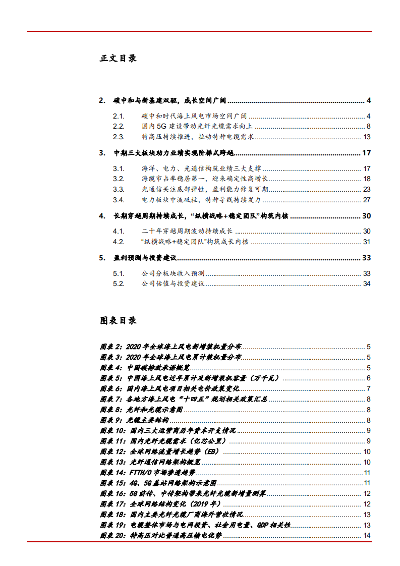 2021年中天科技公司业绩与成长空间分析报告.pdf 第1页