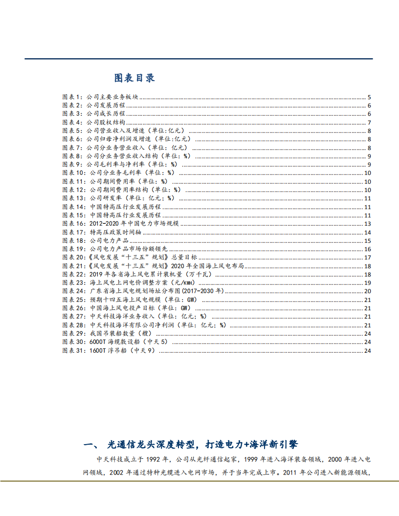 2021年中天科技公司业务布局分析报告.pdf 第2页