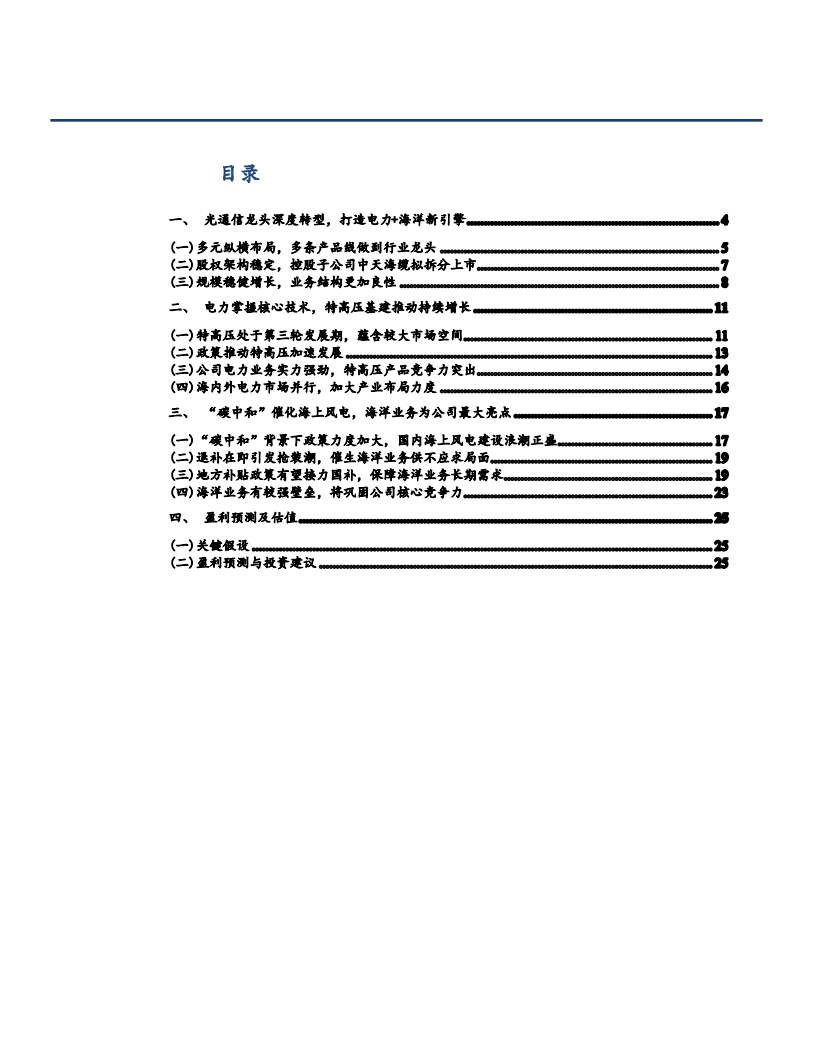 2021年中天科技公司业务布局分析报告.pdf 第1页