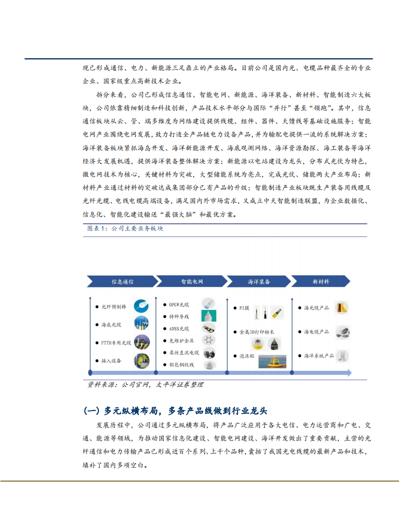 2021年中天科技公司业务布局分析报告.pdf 第3页
