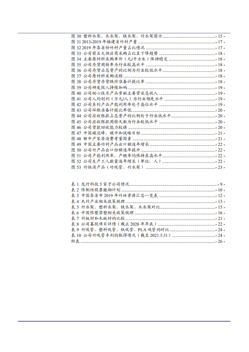 2021年竹制品领军企业龙竹科技公司竞争优势分析报告.pdf 第2页