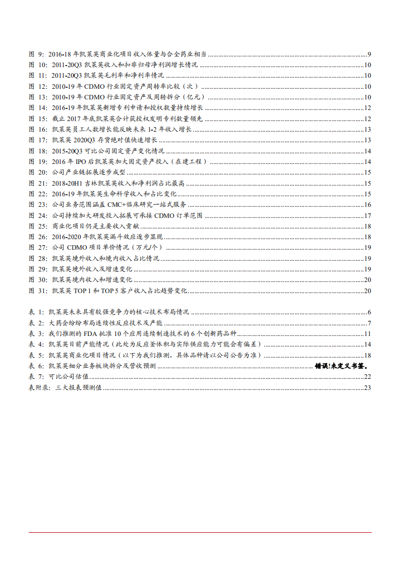 2021年CDMO龙头凯莱英公司差异化优势分析报告.pdf 第2页