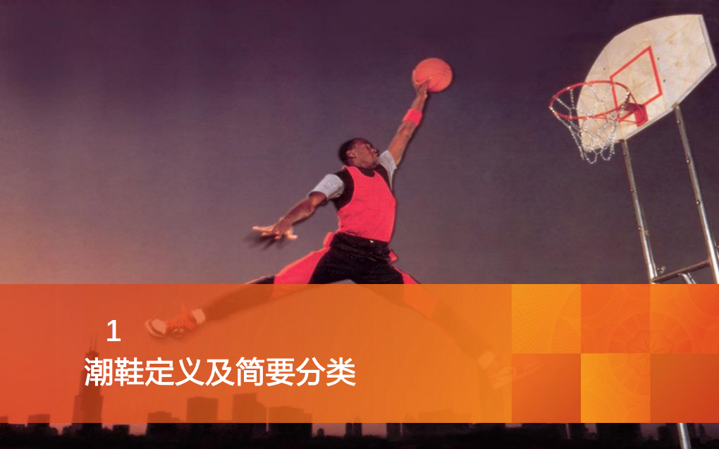 2021年潮鞋定义及简要分类与国牌潮鞋发展空间研究报告.pdf 第2页