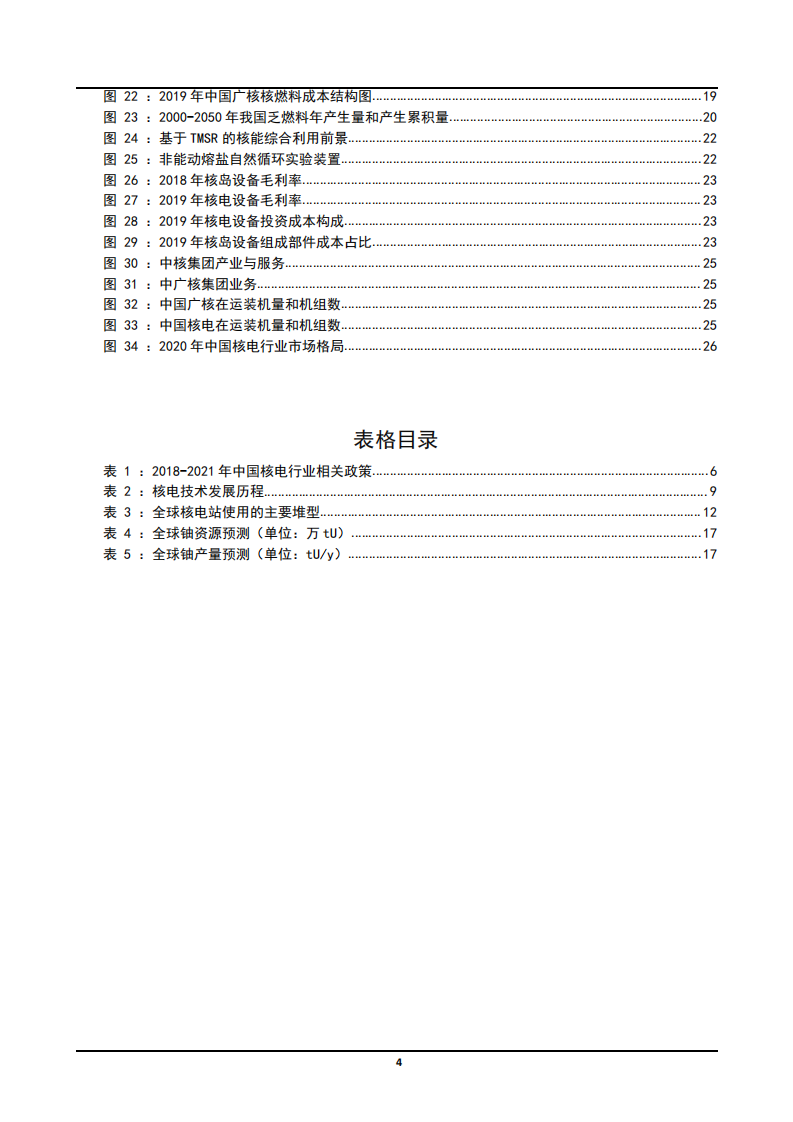 2021年中国核电产业链分析核能发电量规模趋势研究报告.pdf 第2页