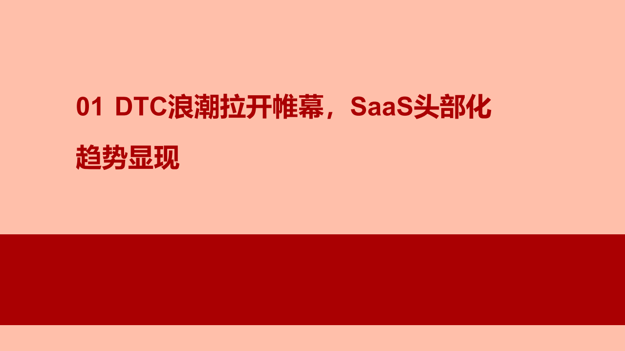 2021年DTC数字化与中国SaaS市场分析报告.pdf 第2页
