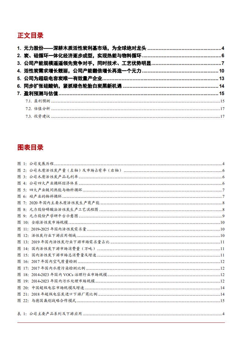 2021年木质活性炭生产企业元力股份循环产业链分析报告.pdf 第1页