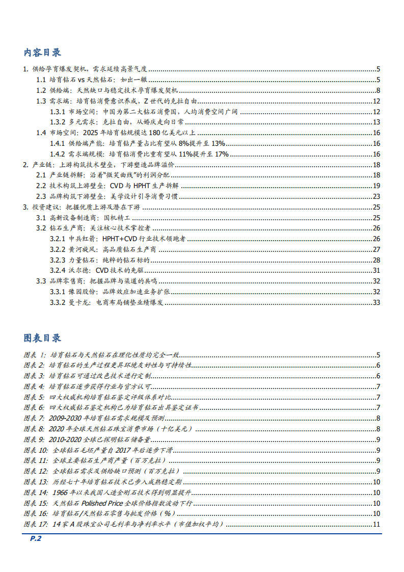 2021年培育钻石产业链发展分析及供需端市场规模研究报告.pdf 第1页