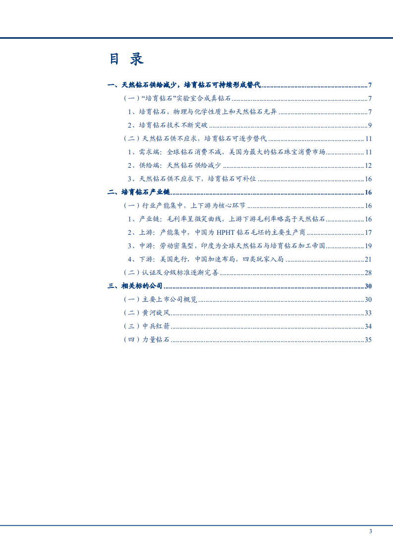 2021年培育钻石上中下游产业链分析及市场供需研究报告.pdf 第1页
