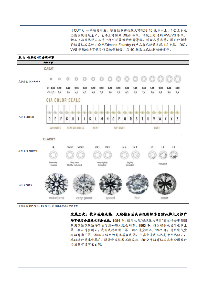 2021年培育钻石市场规模与发展前景分析报告.pdf 第5页