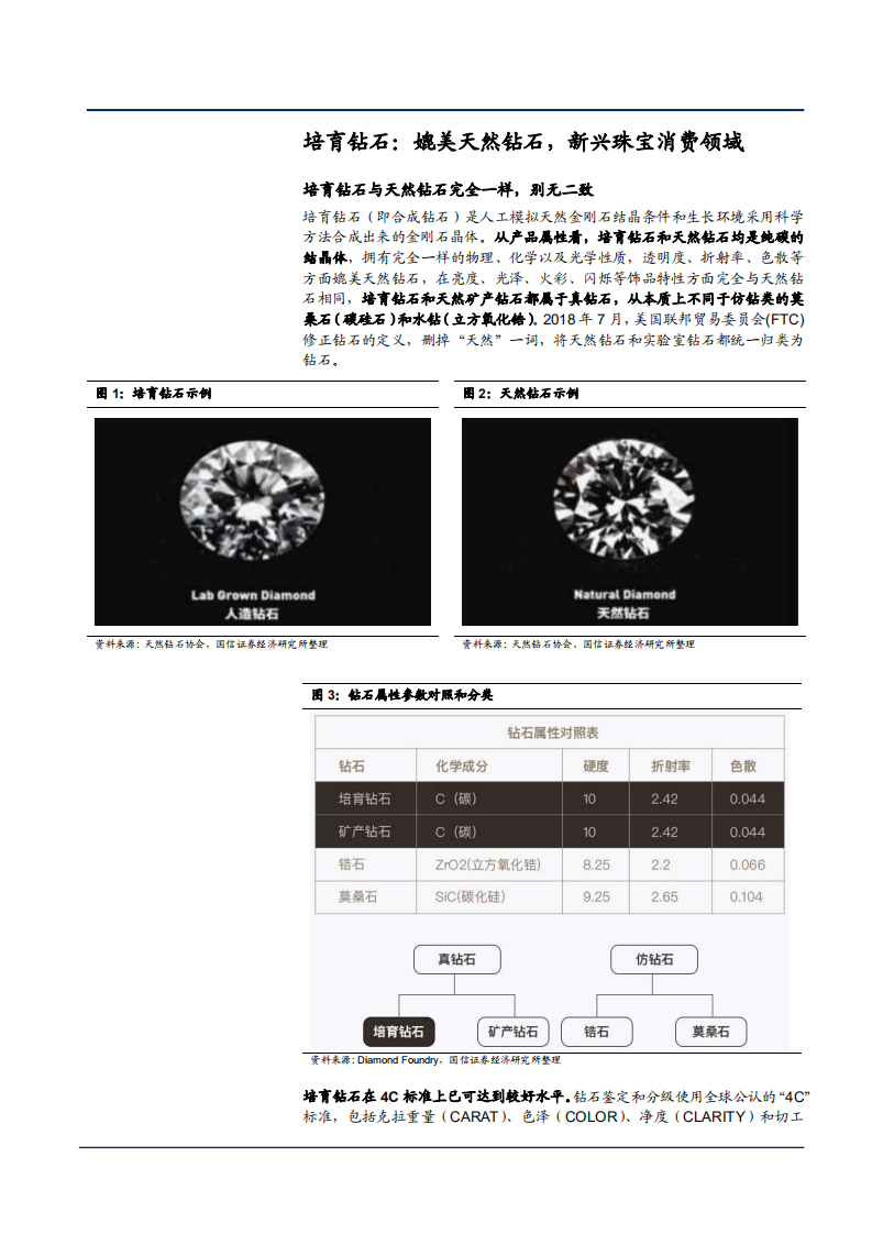 2021年培育钻石市场规模与发展前景分析报告.pdf 第4页