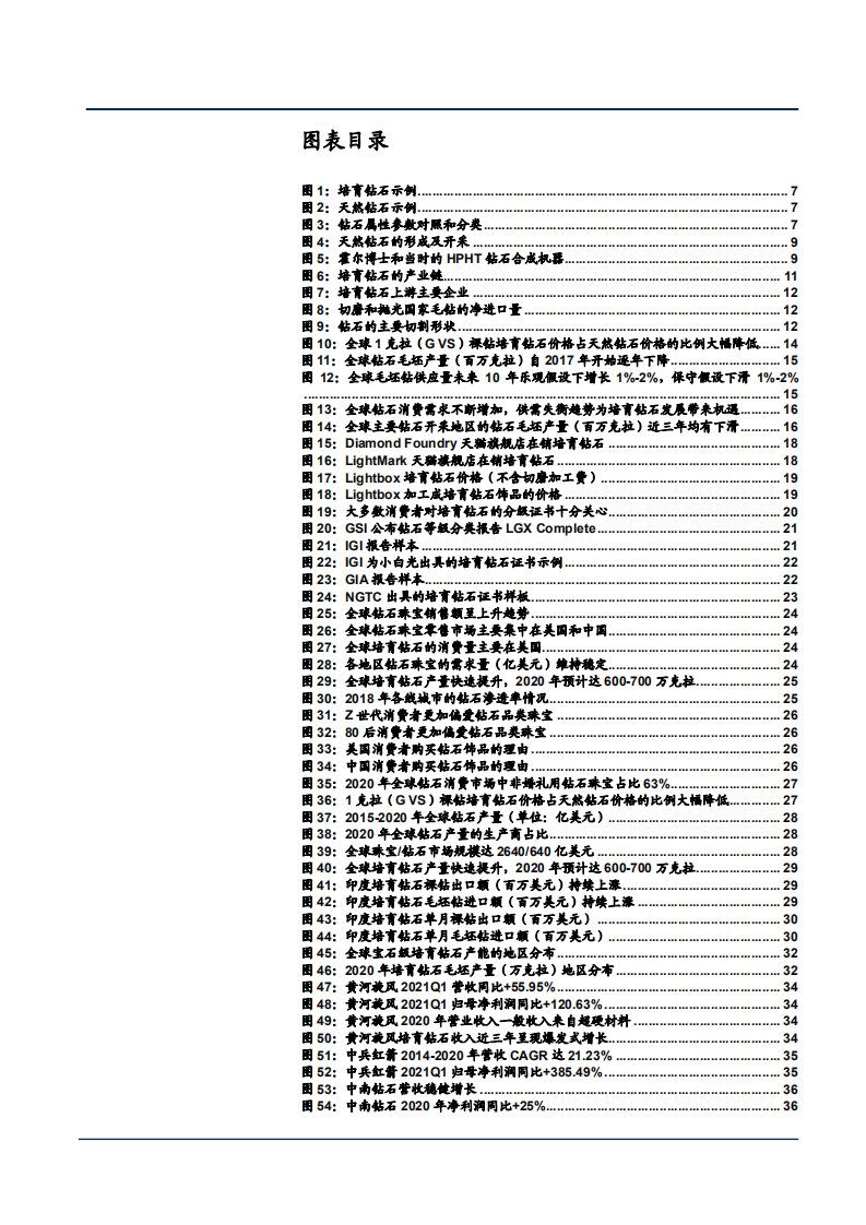 2021年培育钻石市场规模与发展前景分析报告.pdf 第2页