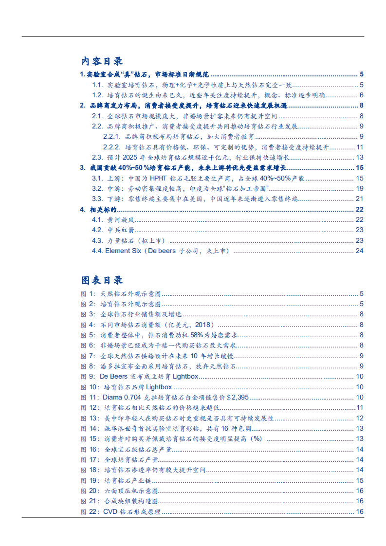 2021年培育钻石市场前景与品牌商积极布局分析报告.pdf 第1页