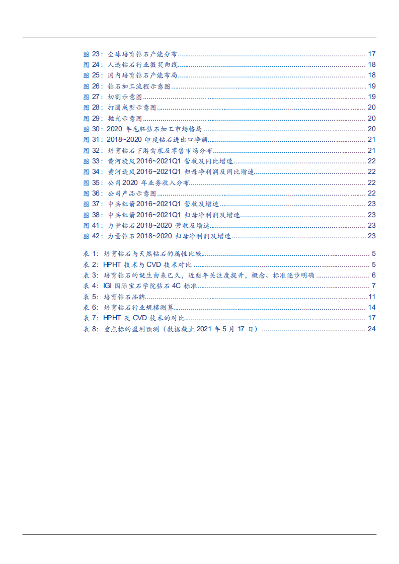2021年培育钻石市场前景与品牌商积极布局分析报告.pdf 第2页