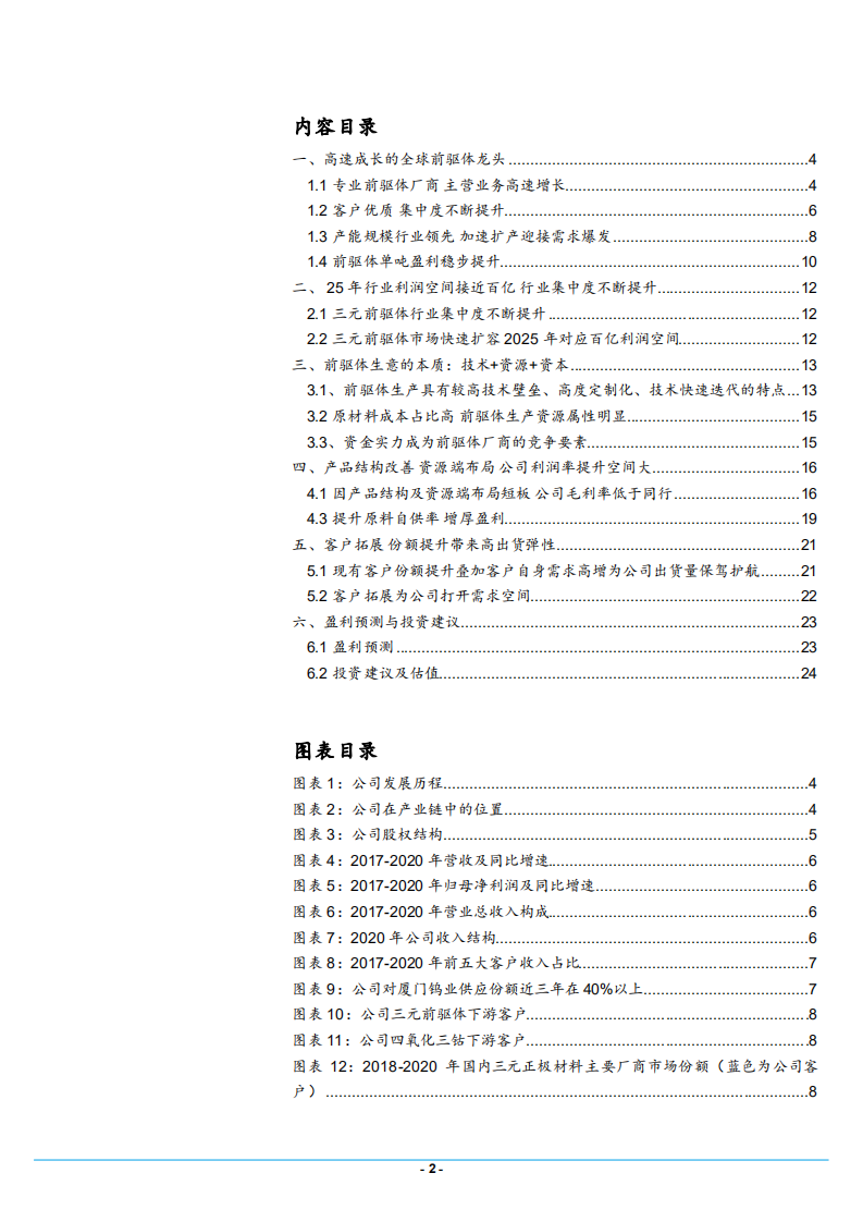 2021年前驱体市场空间与中伟股份产品结构分析报告.pdf 第1页