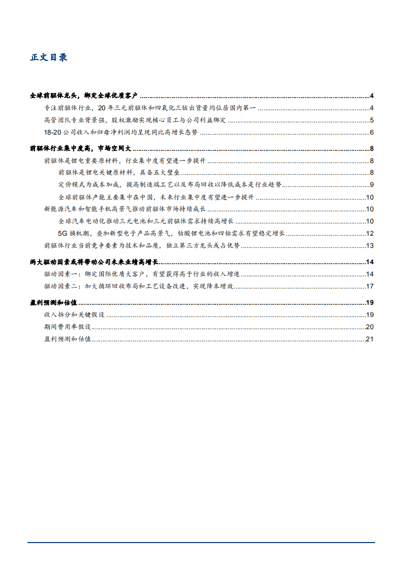 2021年前驱体市场空间与中伟股份驱动因素分析报告.pdf 第1页