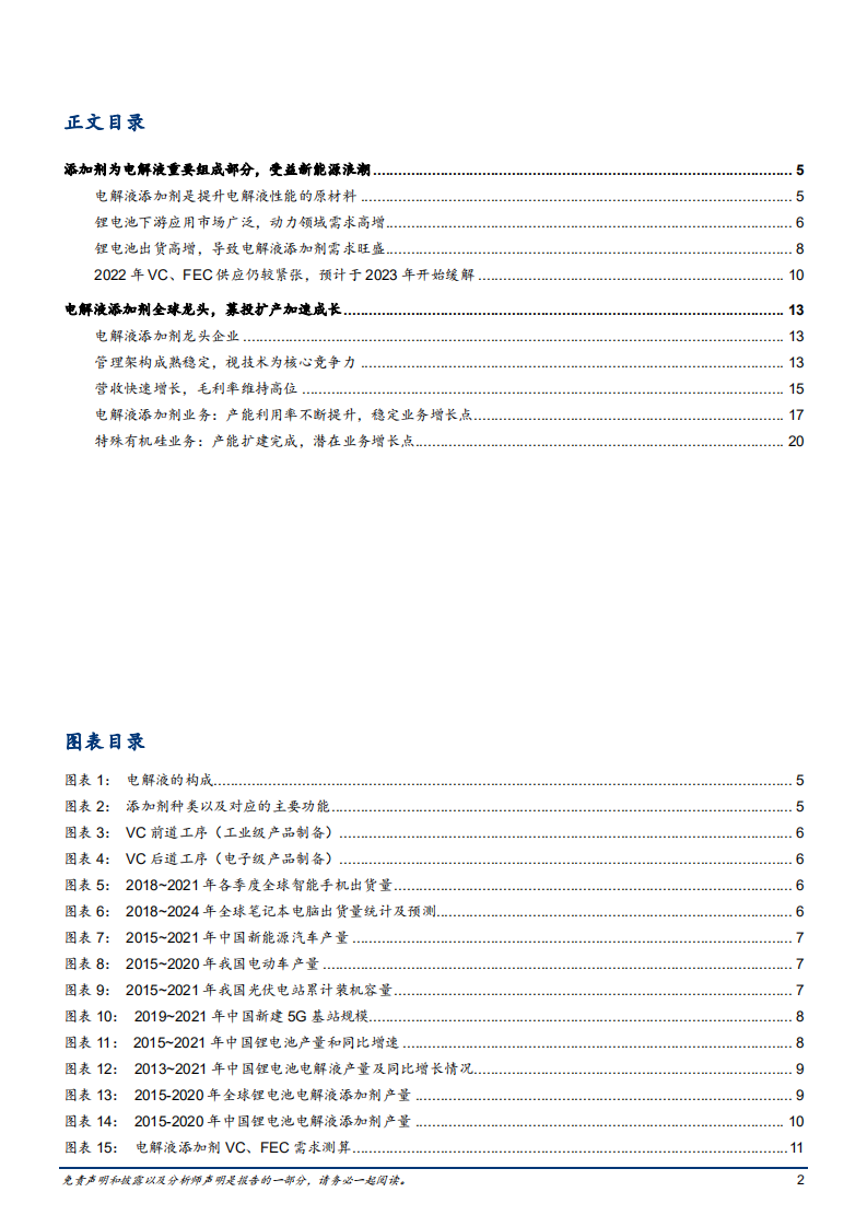 2022年电解液添加剂市场供给需求及华盛锂电业务分析报告.pdf 第1页