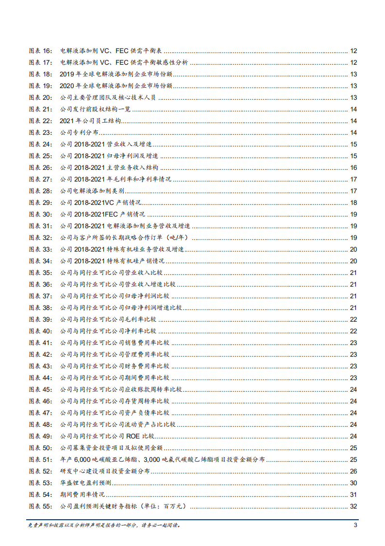 2022年电解液添加剂市场供给需求及华盛锂电业务分析报告.pdf 第2页
