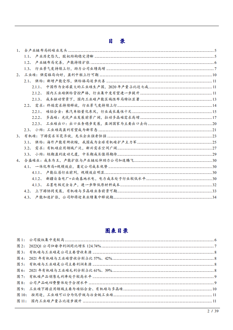 2022年工业硅、有机硅市场供需格局及合盛硅业优势分析报告.pdf 第1页