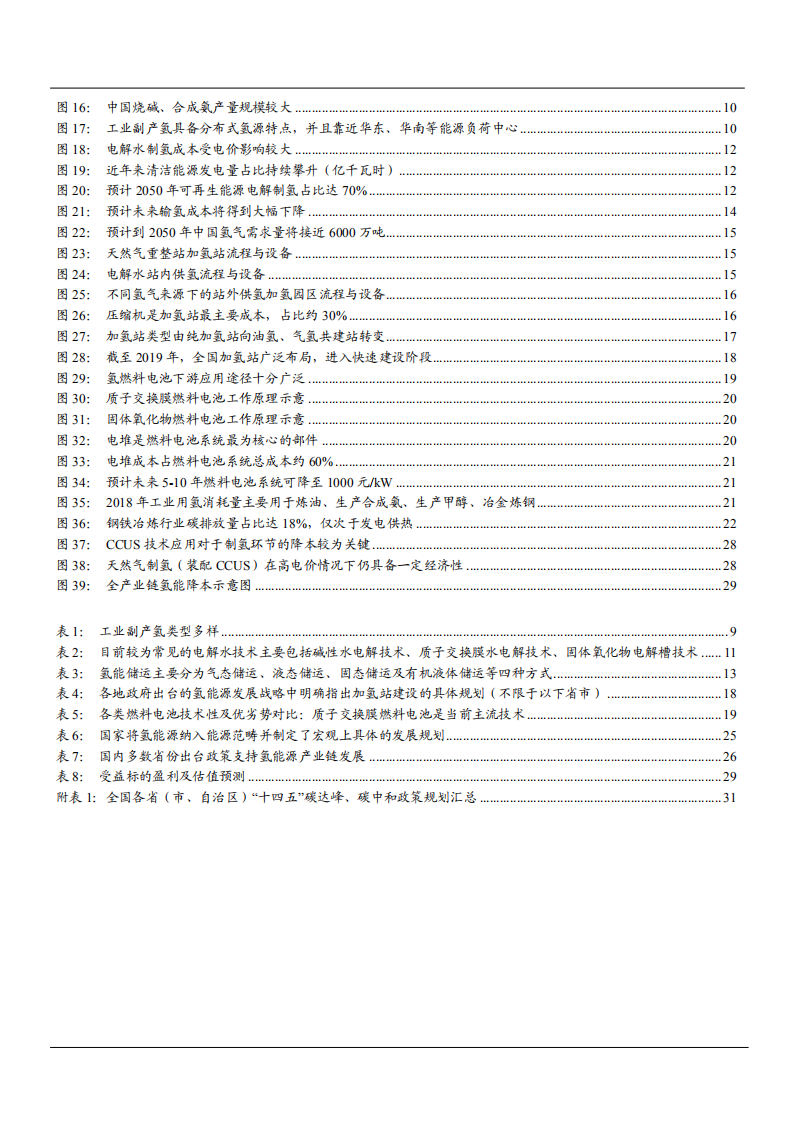 2021年全球用氢需求空间与制氢路线分析报告.pdf 第2页