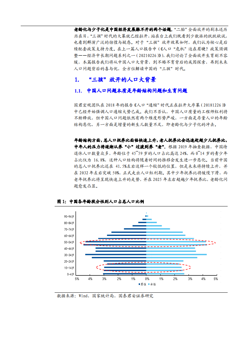 2021年三孩政策下中国人口问题的机遇与挑战分析报告.pdf 第2页