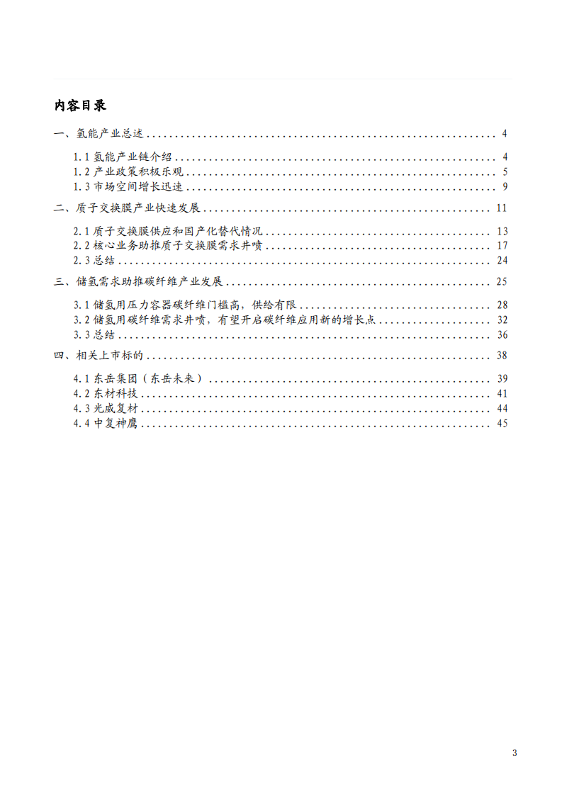 2022年氢能产业链储氢需求分析及质子交换膜产业快速发展研究报告.pdf 第1页