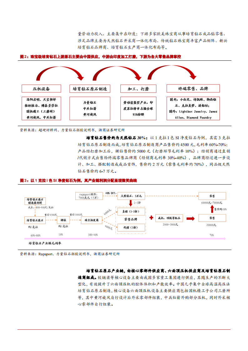 2022年全球培育钻石市场需求与原石供给趋势分析报告.pdf 第5页