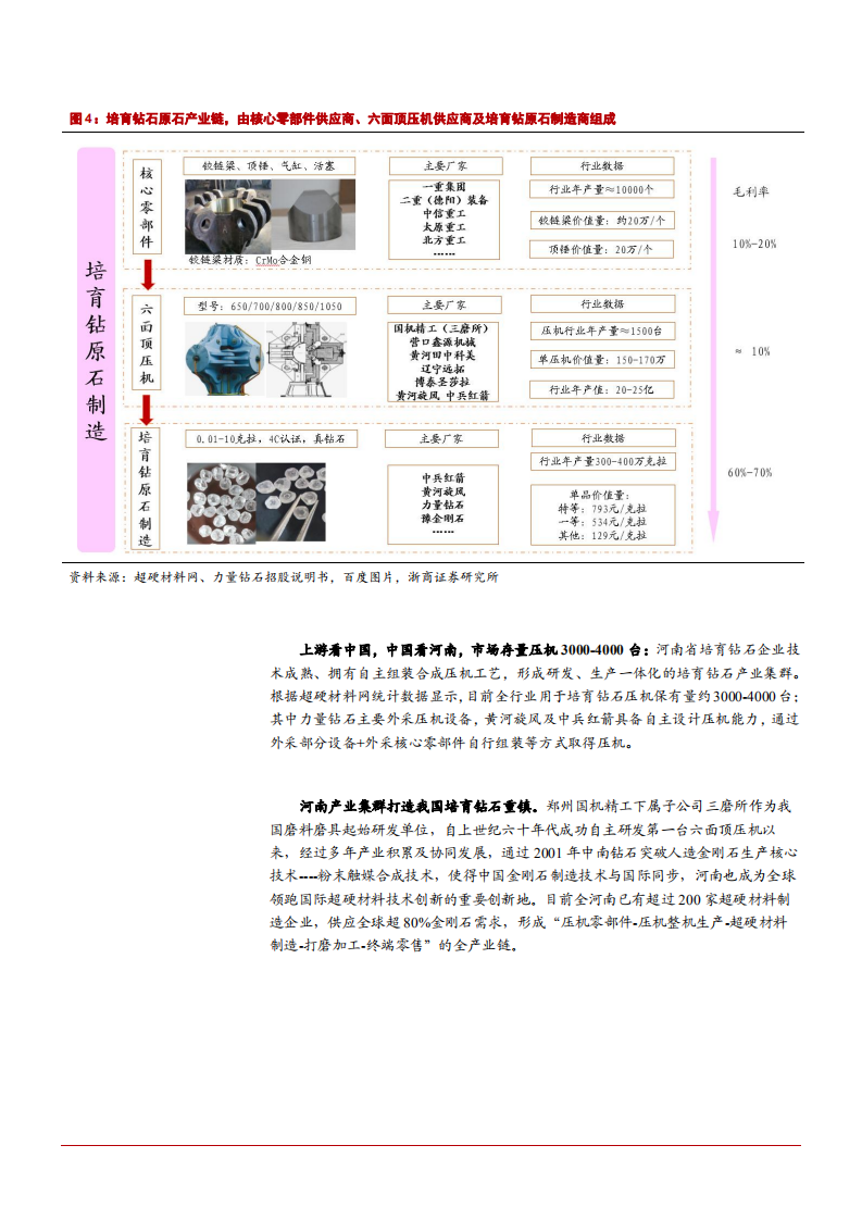 2022年全球培育钻石市场需求与原石供给趋势分析报告.pdf 第6页