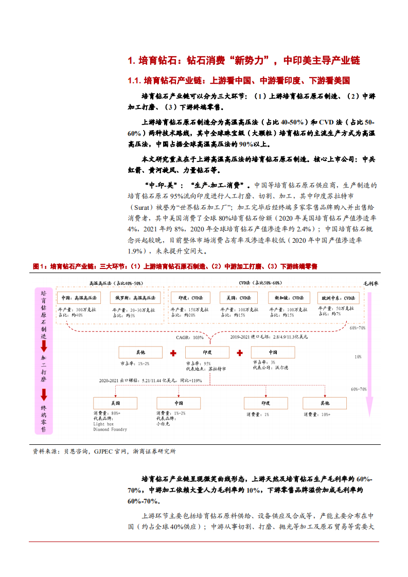 2022年全球培育钻石市场需求与原石供给趋势分析报告.pdf 第4页
