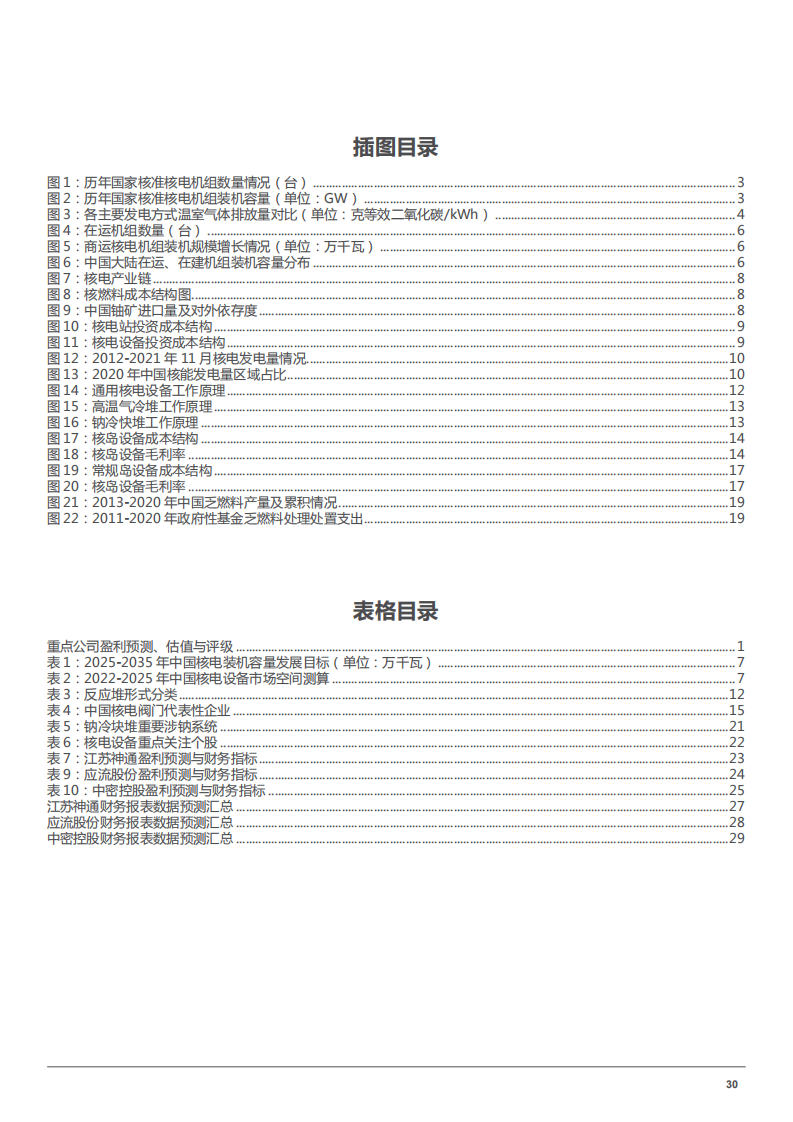 2022年我国核电产业链发展分析及核电设备市场空间规模预测报告.pdf 第2页