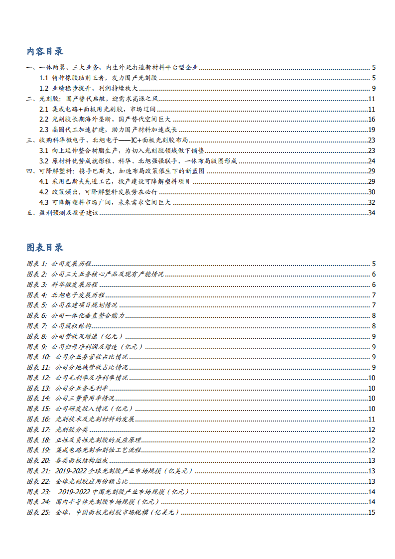 2021年新材料平台型企业彤程新材业务布局分析报告.pdf 第1页