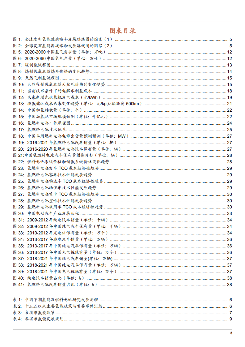 2022年中国氢能发展现状及产业链研究报告.pdf 第2页