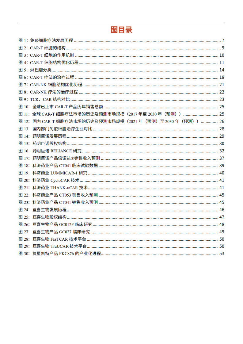 2022年中国CAR-T免疫细胞治疗方法市场规模现状企业差异化布局研究报告.pdf 第2页