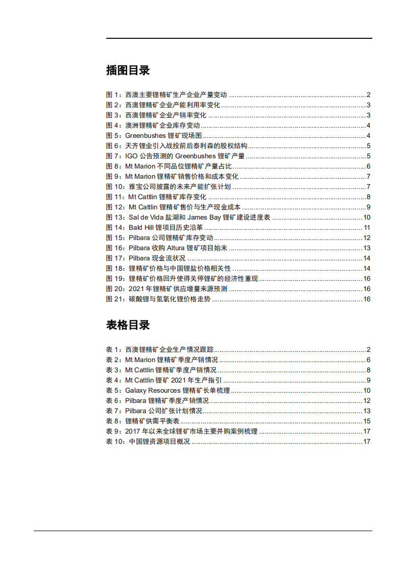 西澳锂矿企业2020年生产经营总结分析报告.pdf 第2页