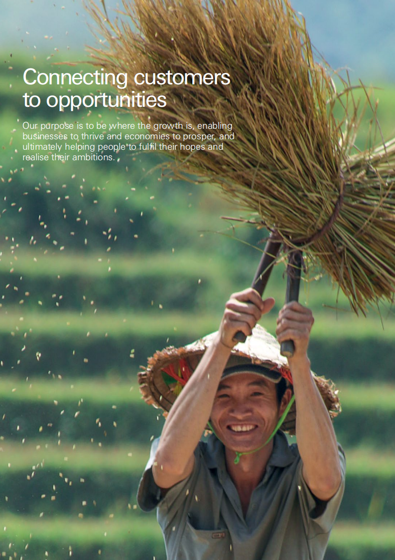 汇丰银行（HSBC）2016年年度报告（英文版）.pdf 第2页