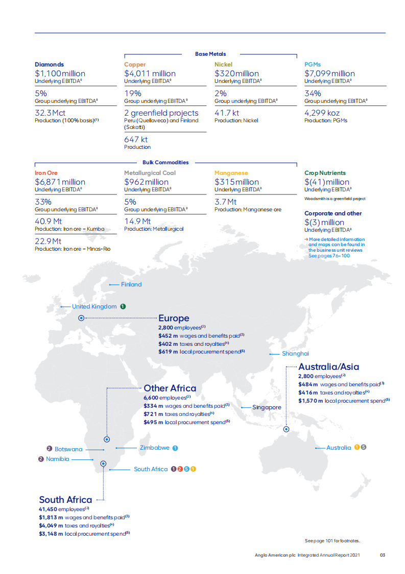 英美资源集团（ANGLO AMERICAN）2021年年度报告（英文版）.pdf 第5页