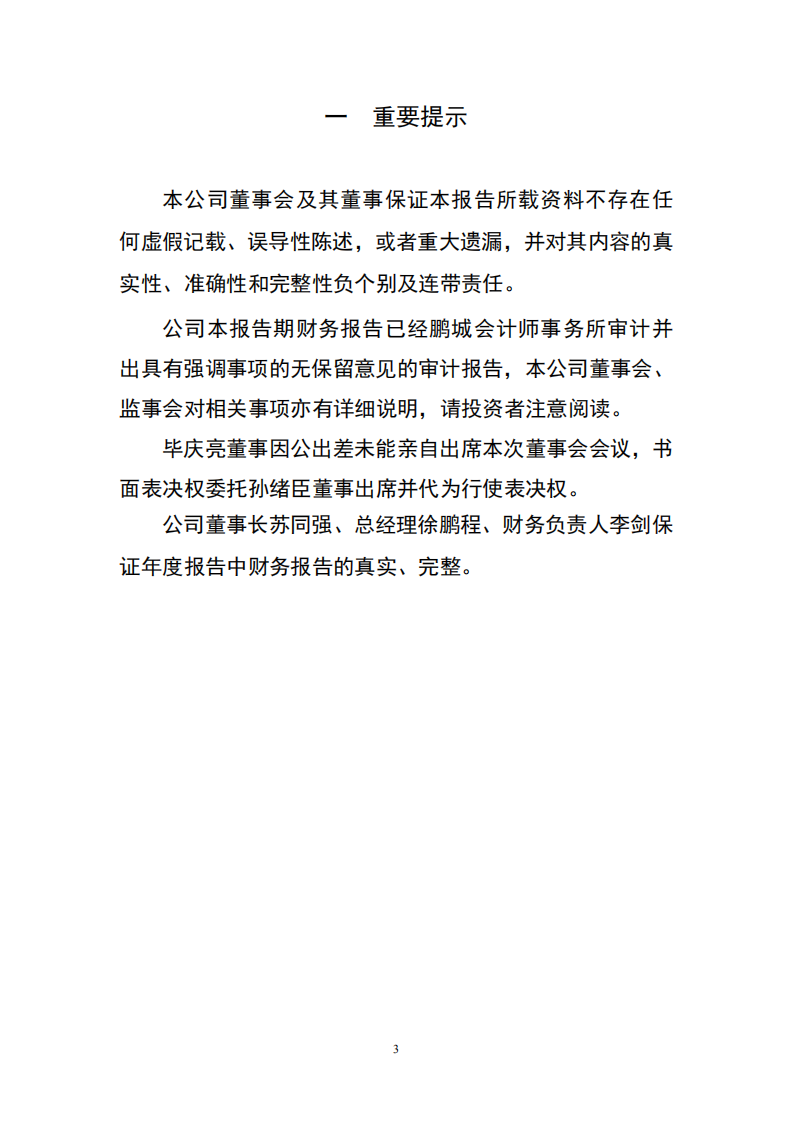 山东淄博华光陶瓷股份有限公司2004年年度报告.PDF 第3页
