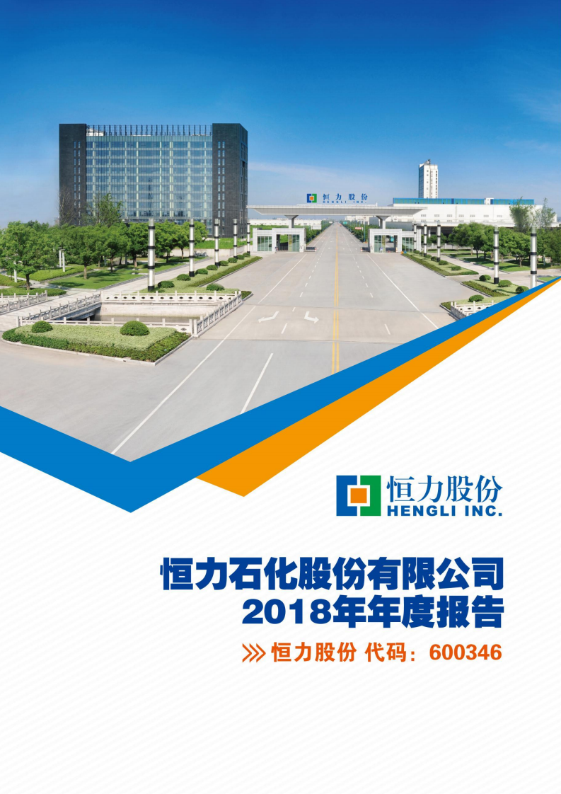 恒力石化股份有限公司2018年年度报告.PDF 第1页