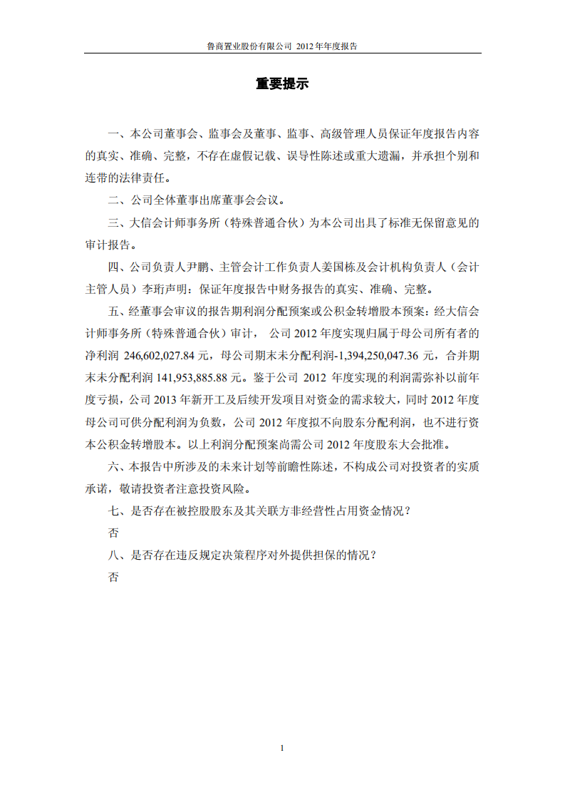 鲁商置业股份有限公司2012年年度报告.PDF 第2页