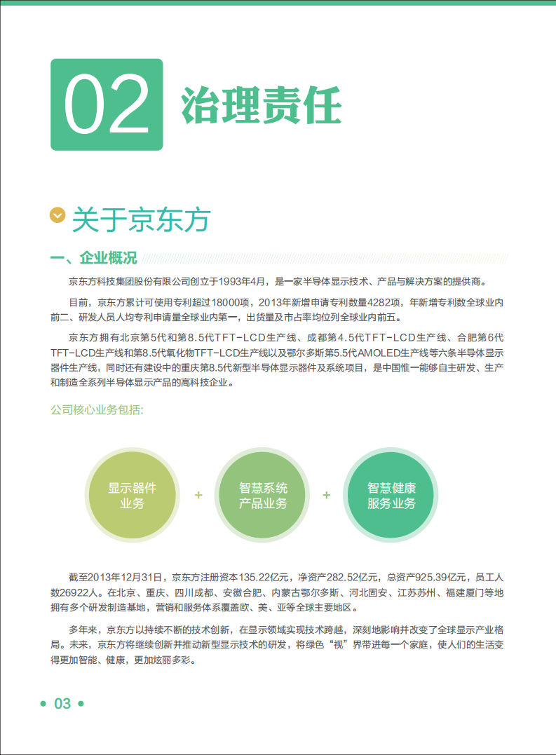 京东方科技集团股份有限公司2013年企业社会责任报告.PDF 第6页