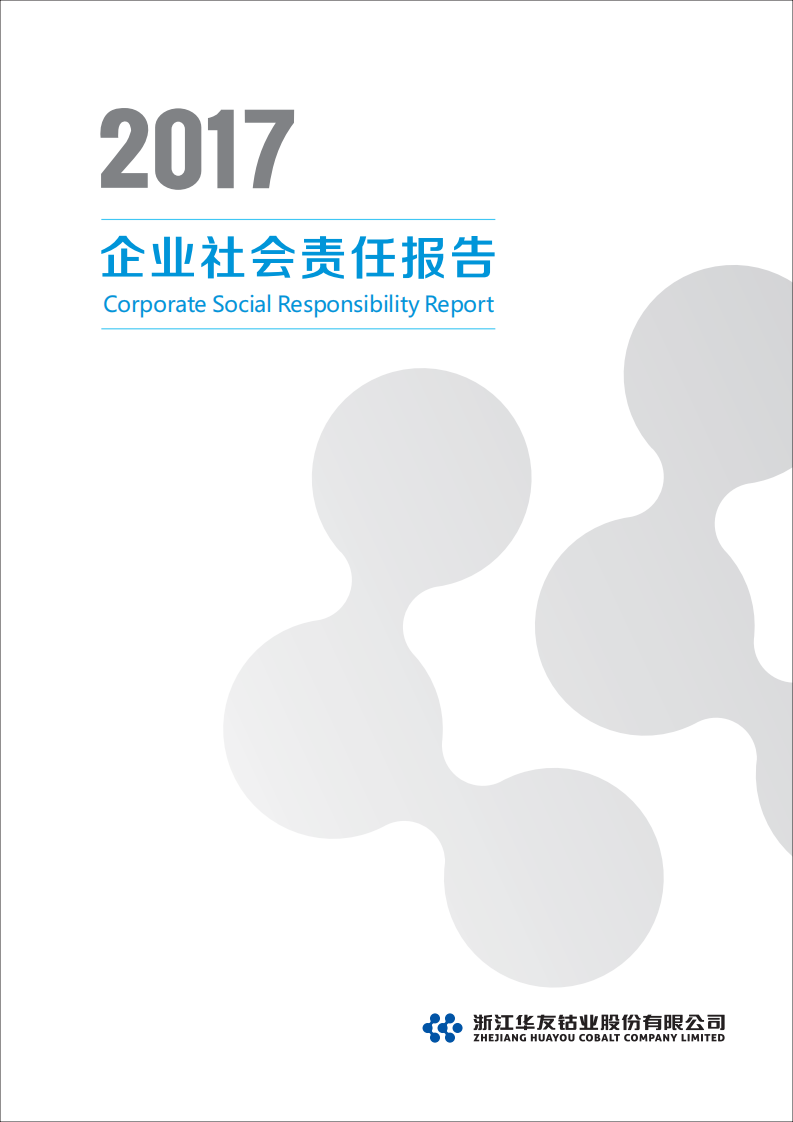浙江华友钴业股份有限公司2017年度企业社会责任报告.PDF 第1页