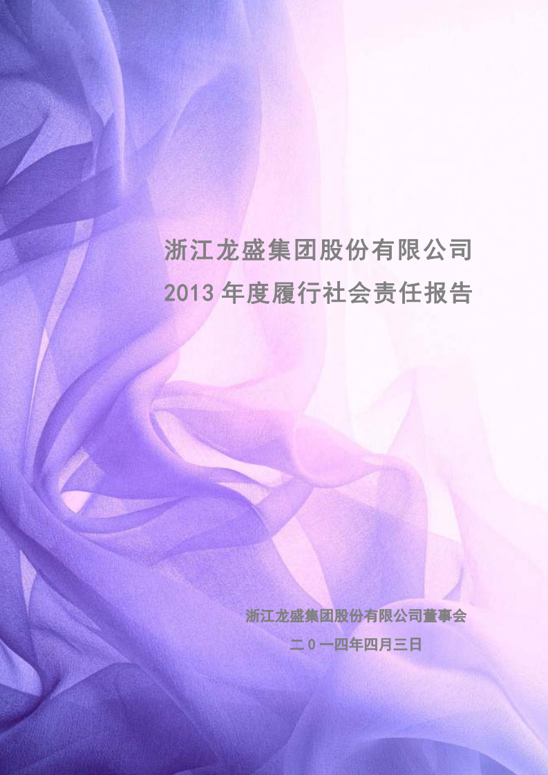 浙江龙盛集团股份有限公司2013年度履行社会责任报告.PDF 第1页