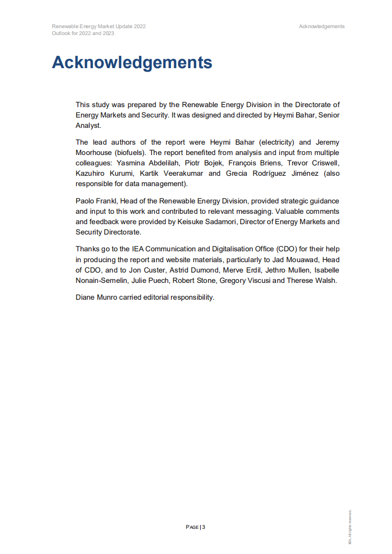 国际能源署（IEA）：2022-2023年可再生能源市场展望更新报告（英文版）.pdf 第4页