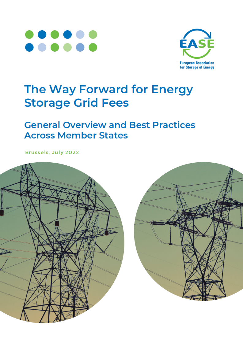 欧洲能源储存协会（EASE）：储能电网收费的未来之路（英文版）.pdf 第1页