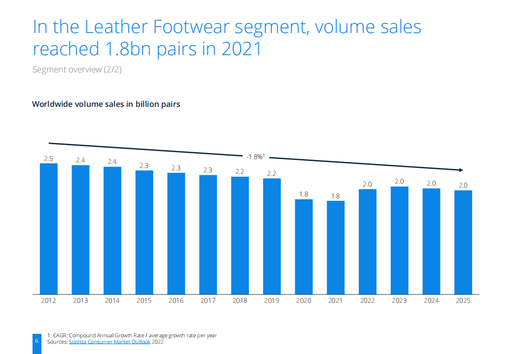 Statista：2022年皮鞋市场研究报告（英文版）.pdf 第6页