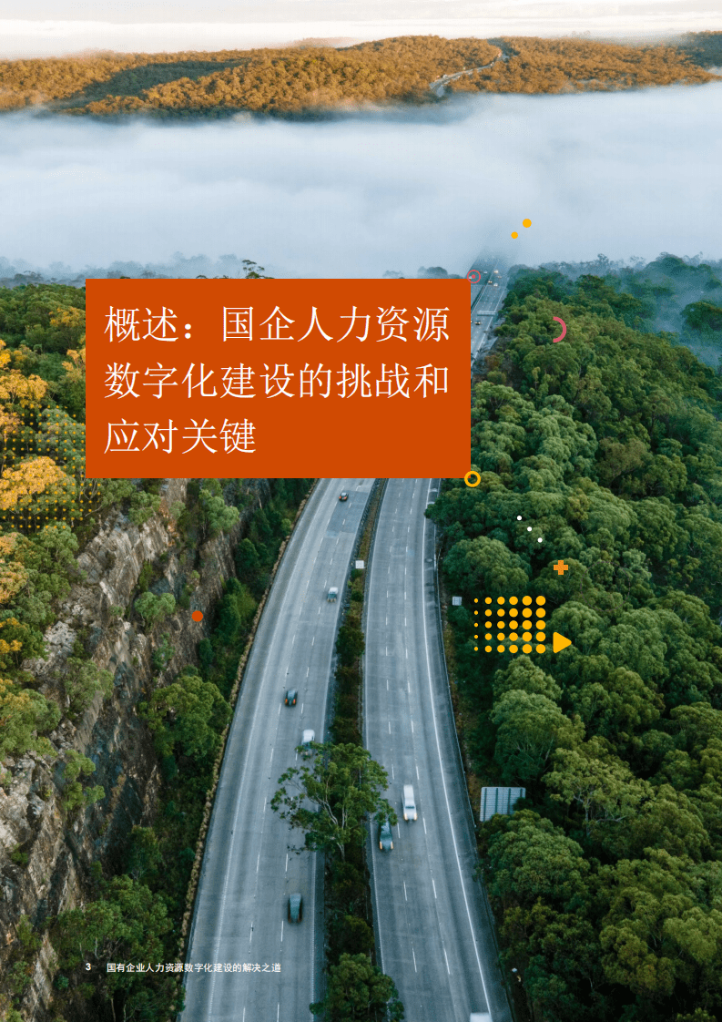 普华永道：国有企业人力资源数字化建设解决之道（2022）.pdf 第4页