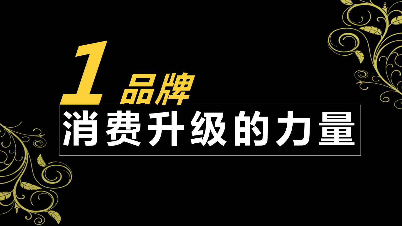 360：2017年360用户服装服饰消费地图.pdf 第2页